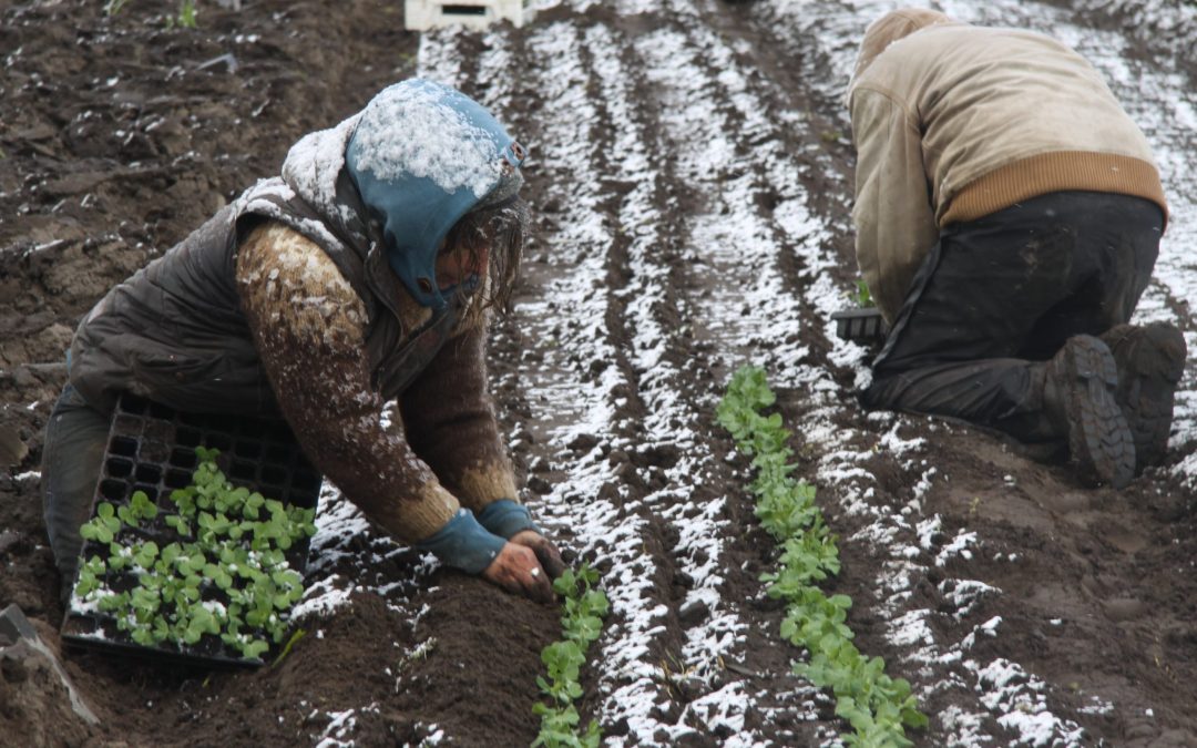 Geistmarkt am 10.01.2026