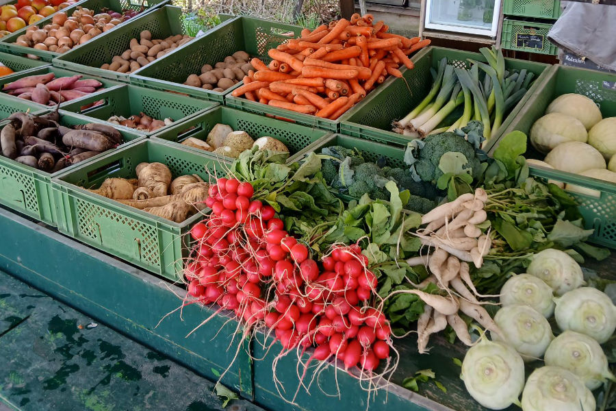 Bioanbau: 100% Biogemüse bei der Bio-Gärtnerei Ra.Baba