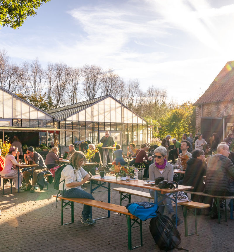 Bildergalerie Biogärtnerei RaBaba - Bild48