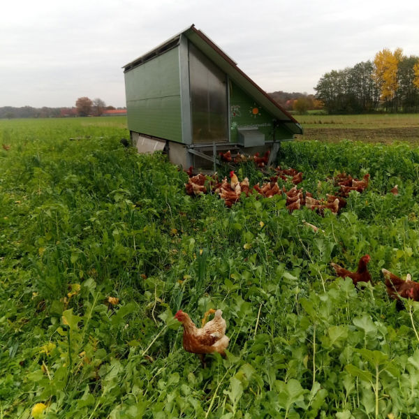 Kooperation02-Heiner Wening