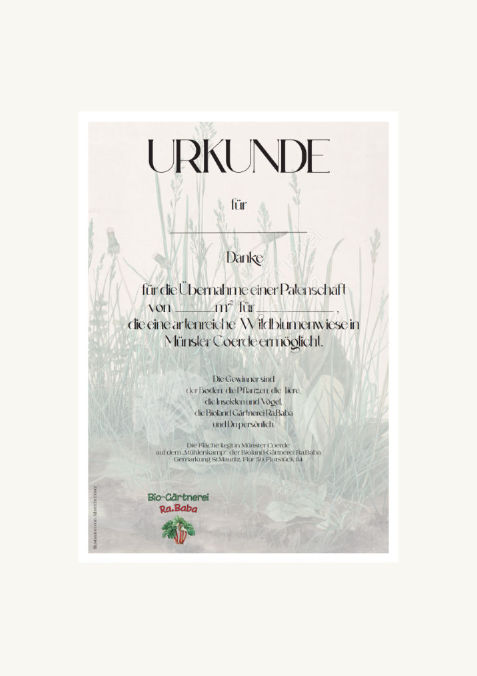 Urkunde für Patenschaft einer artenreichen Wildblumenwiese der Bio Gärtnerrei Ra.BAba